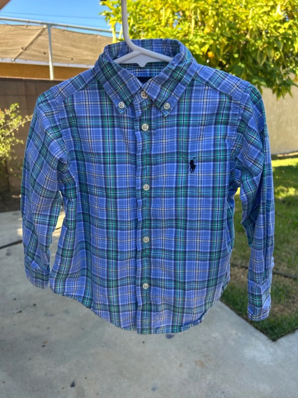 Polo by Ralph Lauren Blue & Green Plaid Button-Down Shirt
